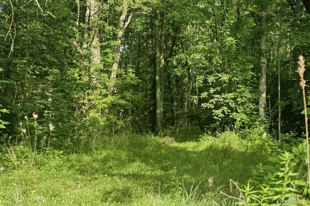 5296 County Line Road Lenox Township MI 48050