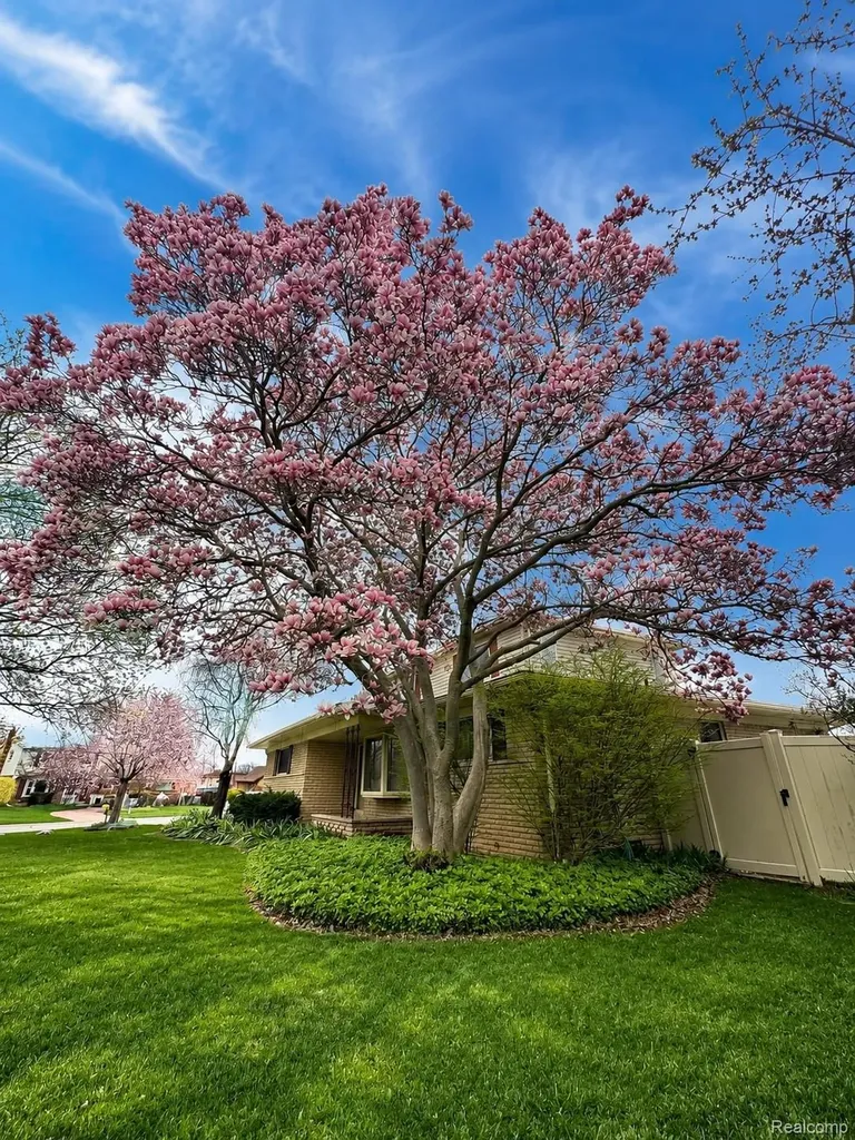 17320 Brill Drive Clinton Charter Township MI 48035