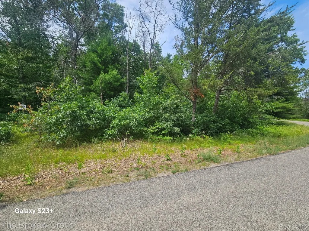 0 Acorn Lane Roscommon Township MI 48629