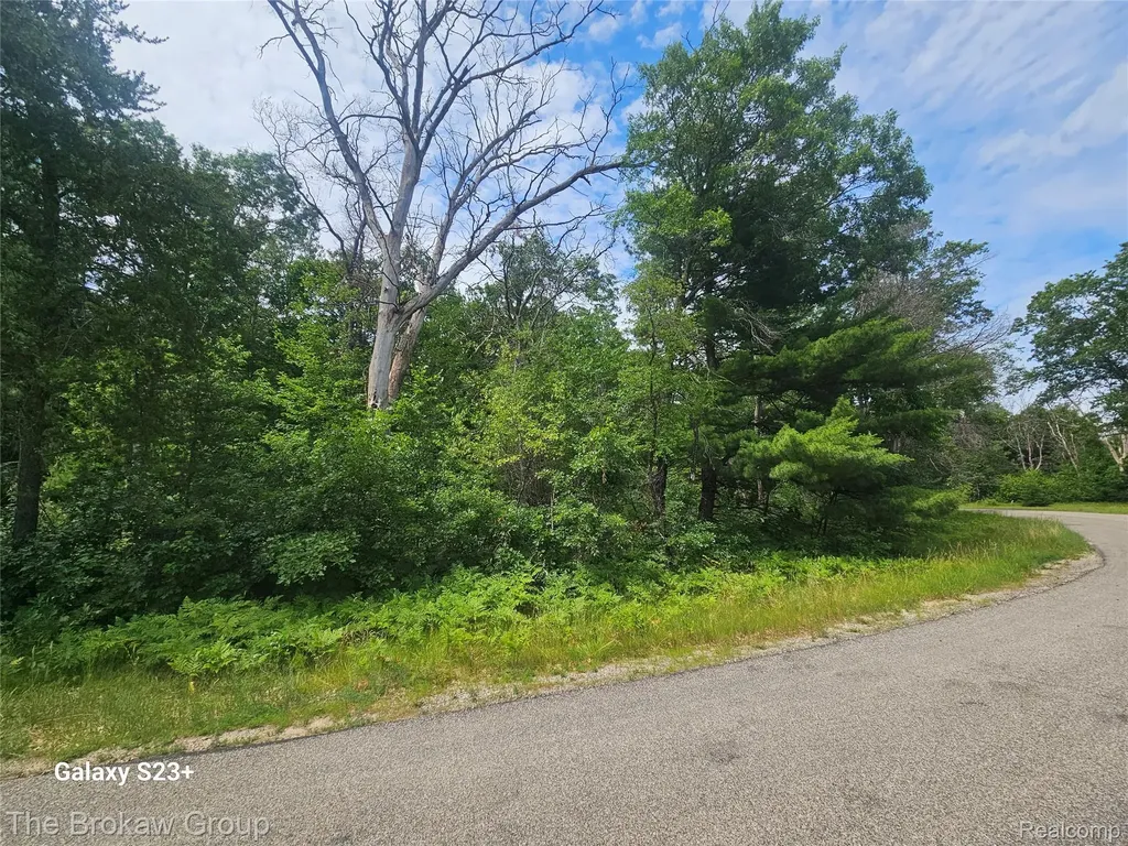 0 Acorn Lane Roscommon Township MI 48629