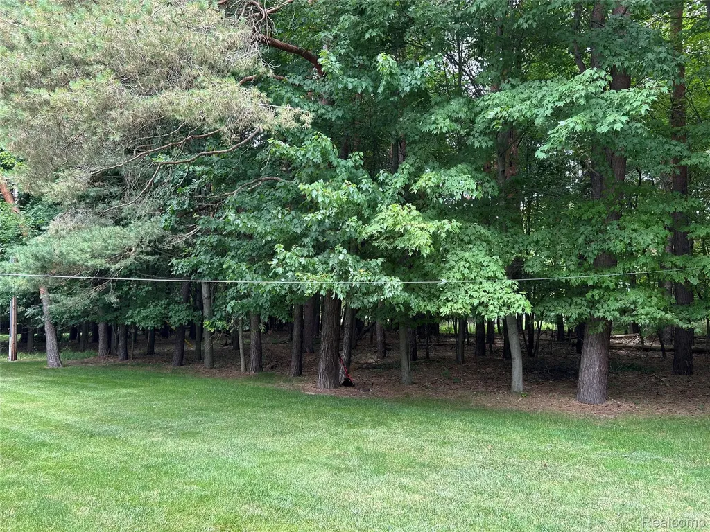 1334 Weeden Road Indianfields Township MI 48723