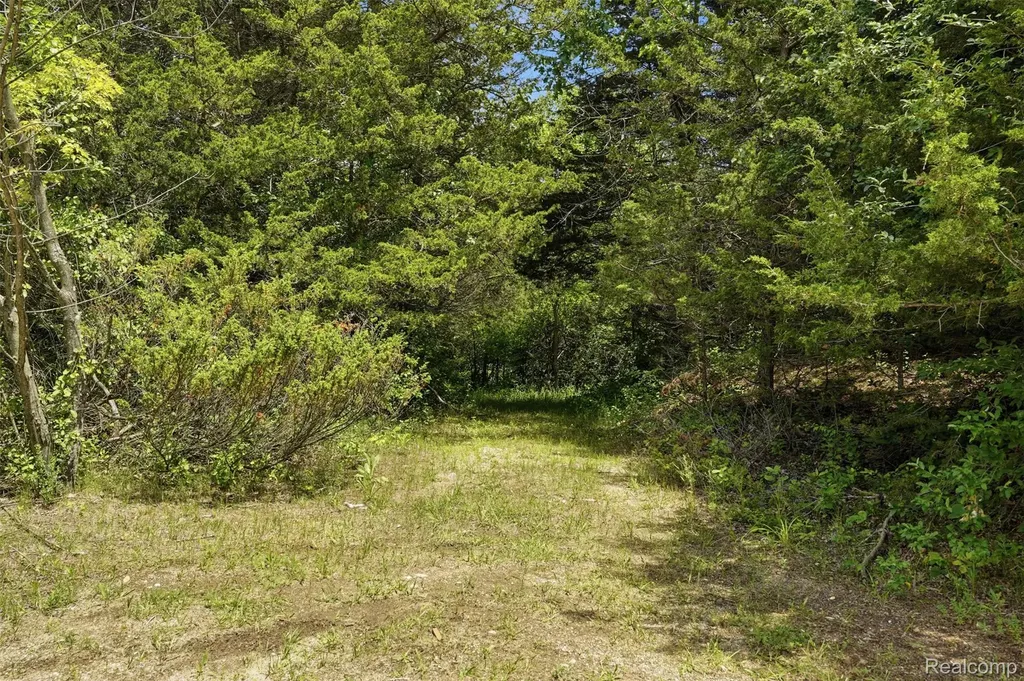 10525 Antcliff Road Norvell Township MI 49230