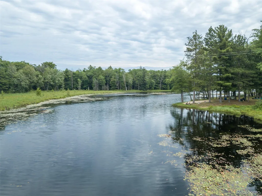 3392 Columbia Drive Foster Township MI 48661