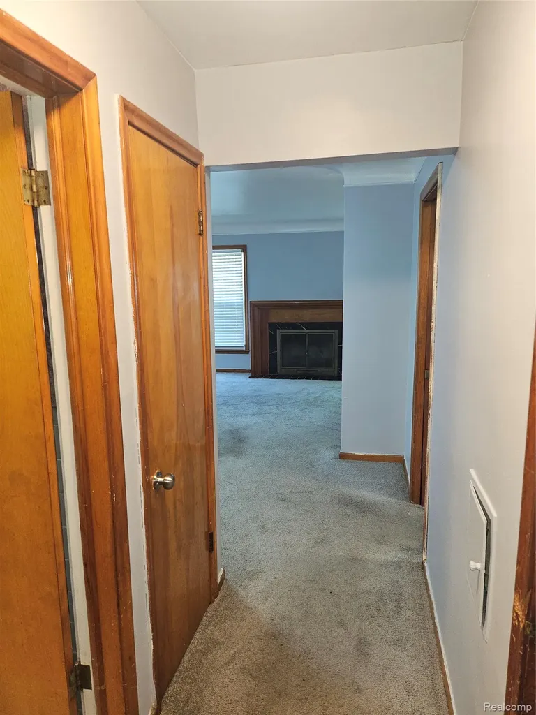 20296 Damman Street Harper Woods City MI 48225