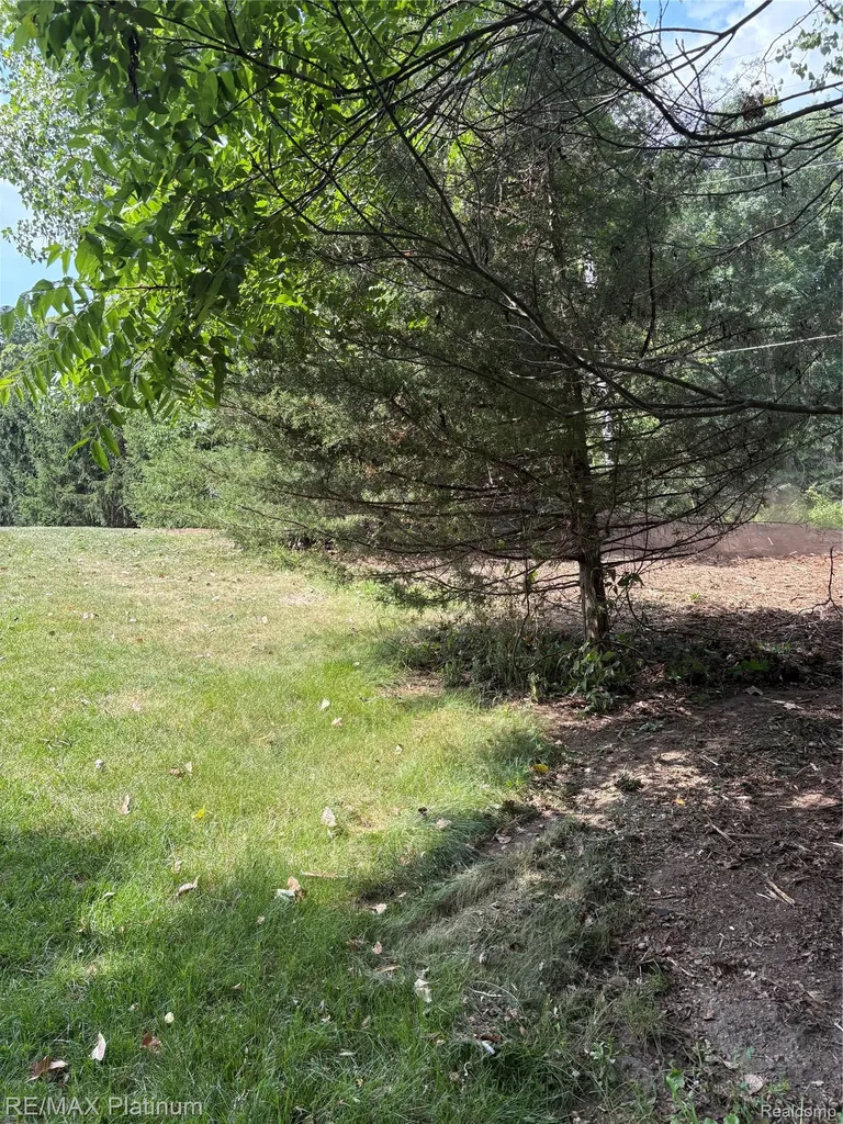16133 Meredith Court Fenton Charter Township MI 48451