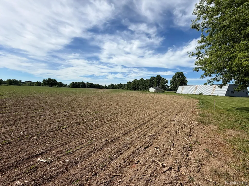 8886 Burnside Road Burnside Township MI 48416