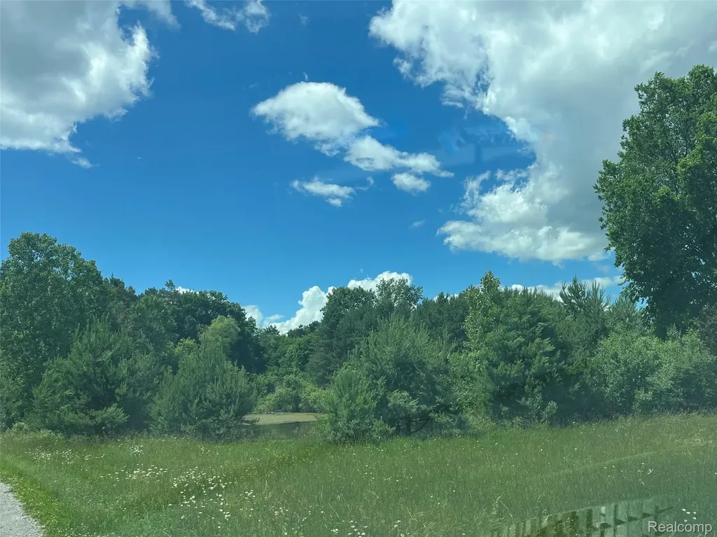 5015 Capac Road Mussey Township MI 48014
