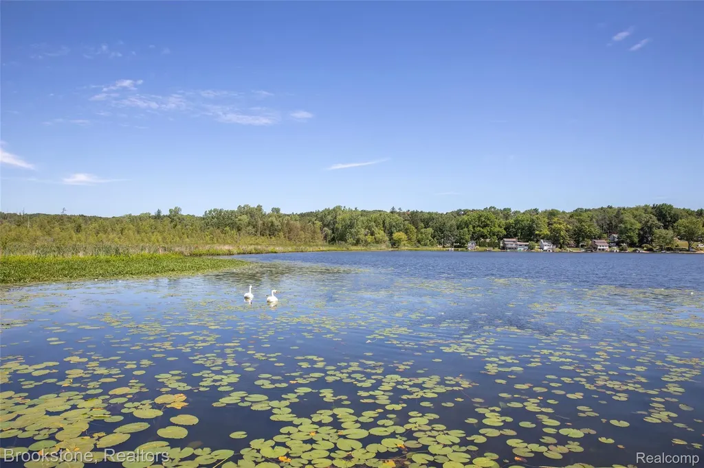 12170 Shaffer Road Springfield Charter Township MI 48350