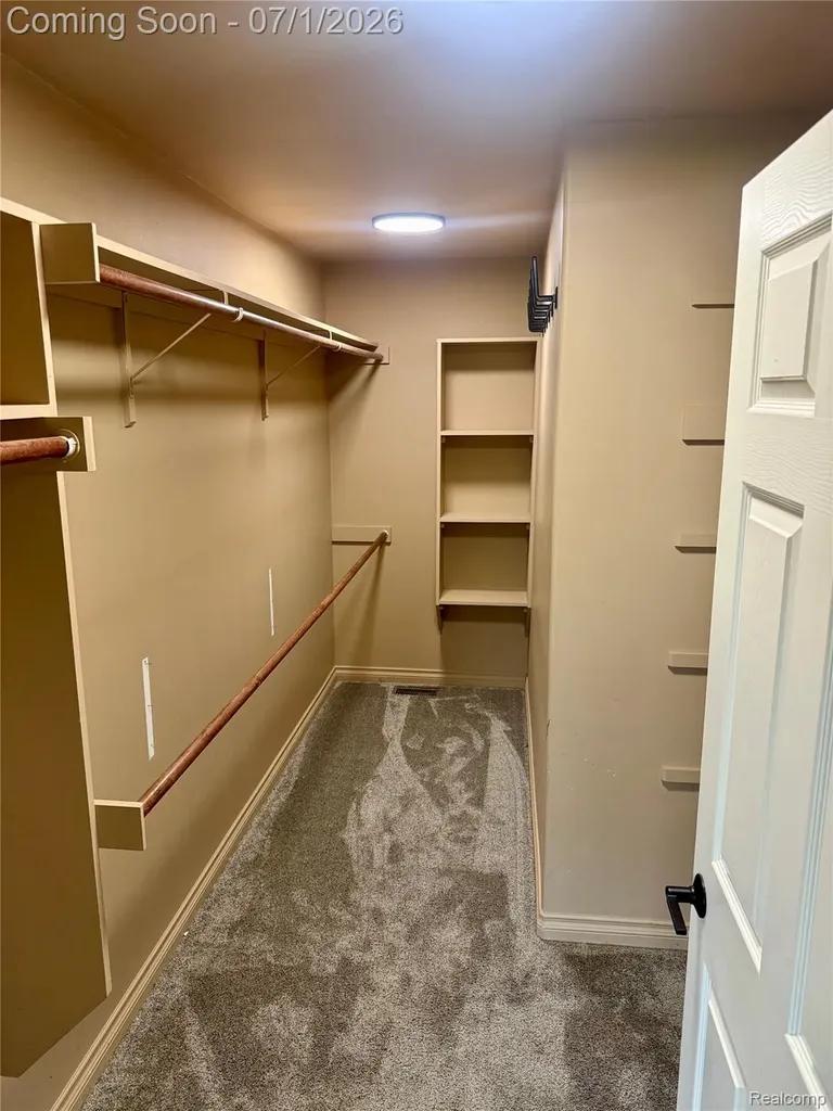 3780 Lake Lapeer Drive Elba Township MI 48455