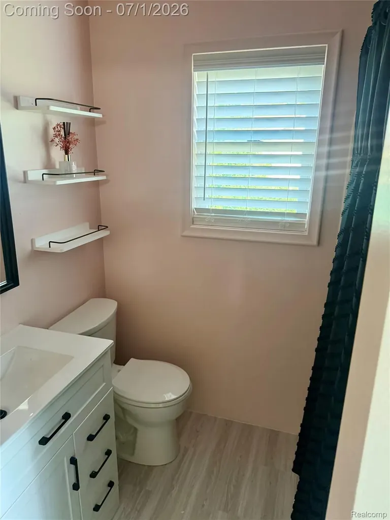 3780 Lake Lapeer Drive Elba Township MI 48455