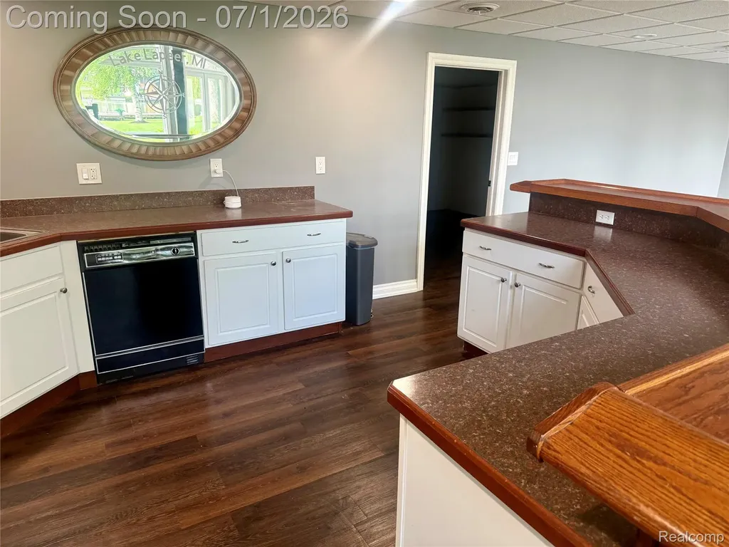 3780 Lake Lapeer Drive Elba Township MI 48455