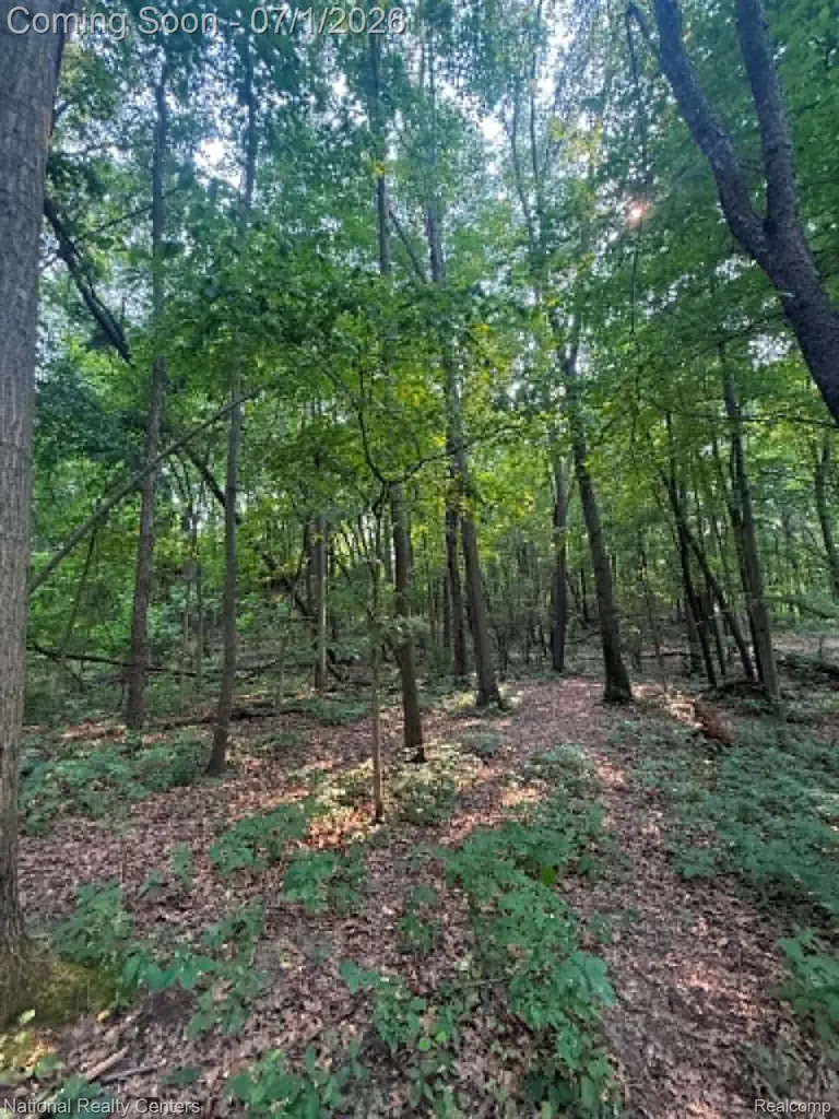 1330 Brauer Road Metamora Township MI 48371