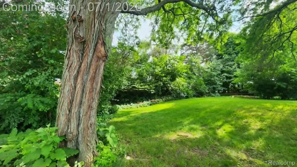 2457 Gemini Drive Lake Orion Village MI 48360