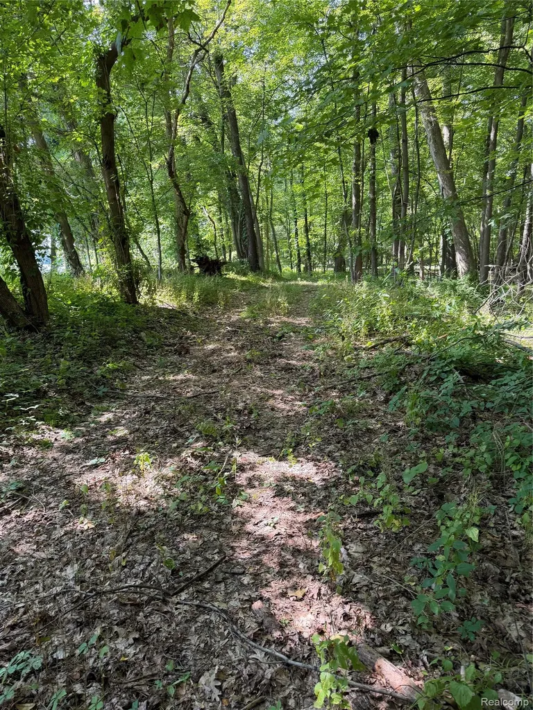 00 Ripple Way White Lake Charter Township MI 48383