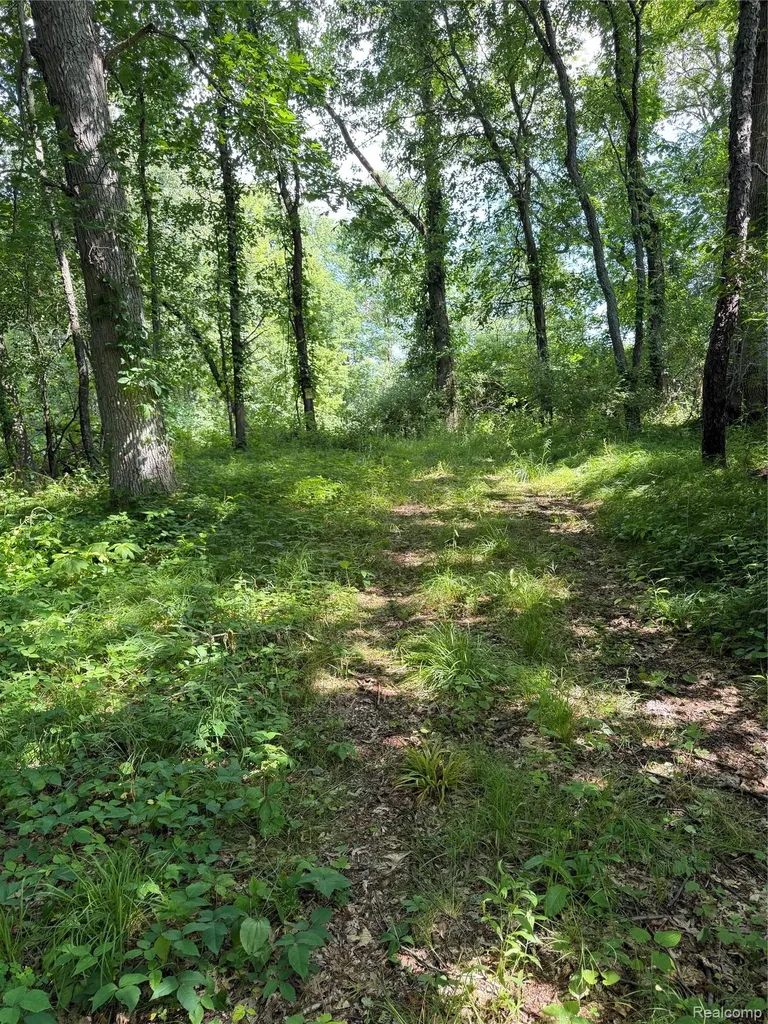00 Ripple Way White Lake Charter Township MI 48383