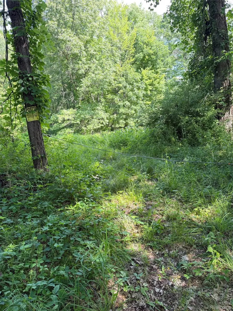 00 Ripple Way White Lake Charter Township MI 48383