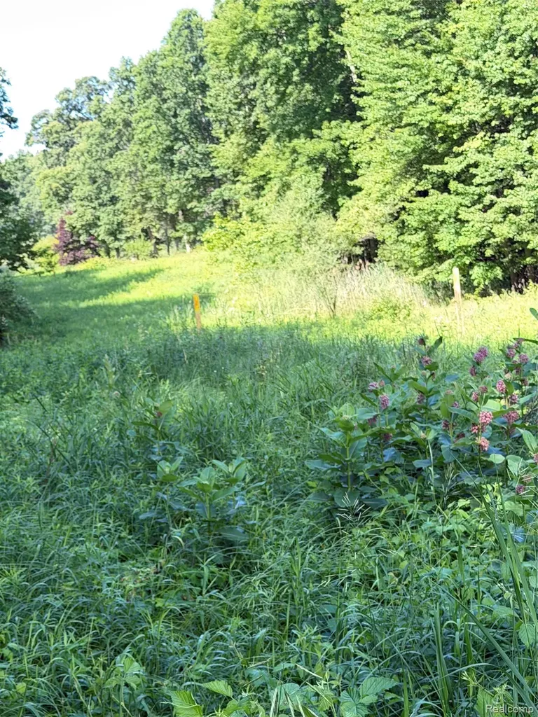 00 Ripple Way White Lake Charter Township MI 48383