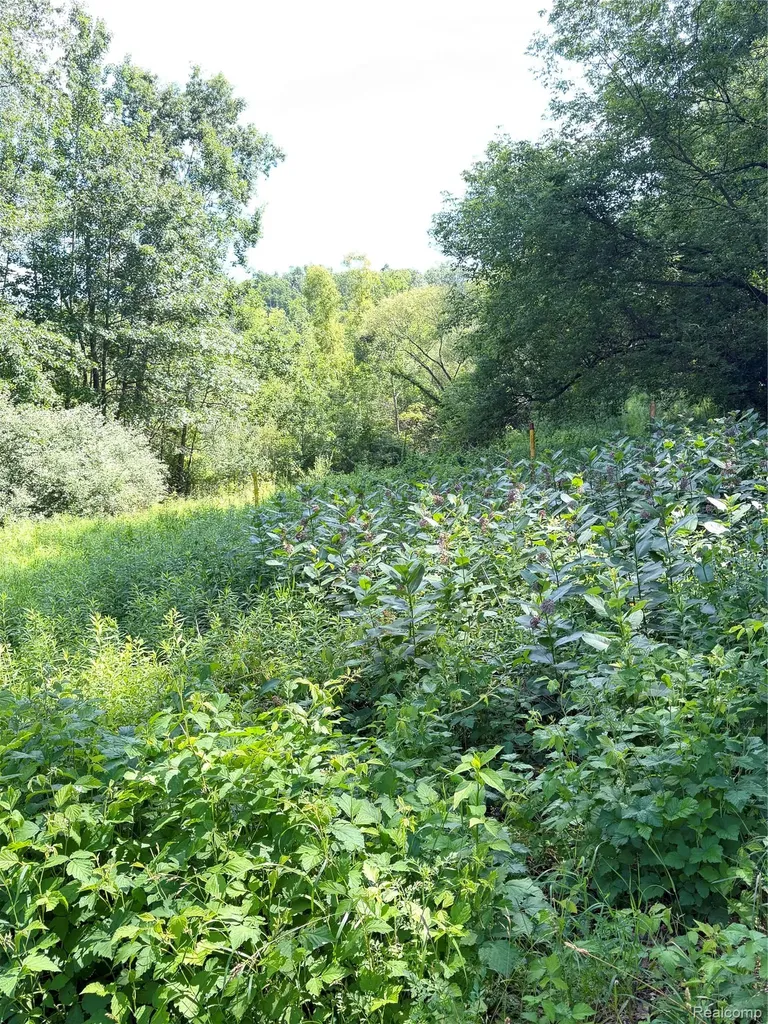 00 Ripple Way White Lake Charter Township MI 48383
