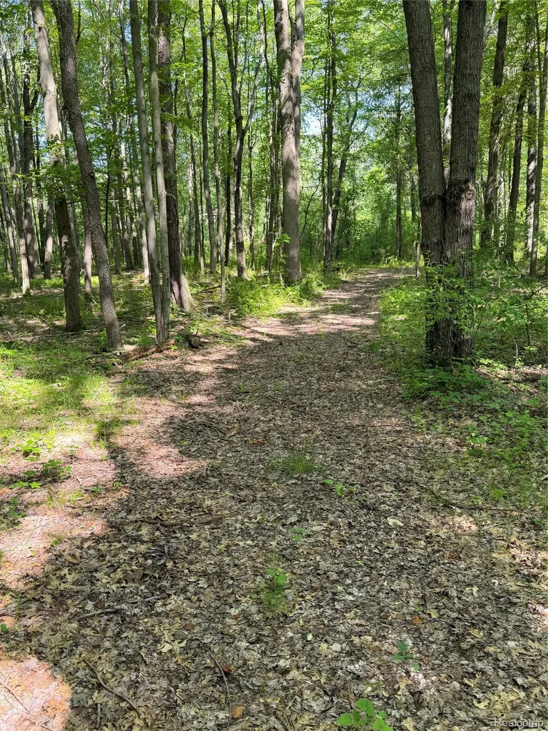 00 Ripple Way White Lake Charter Township MI 48383