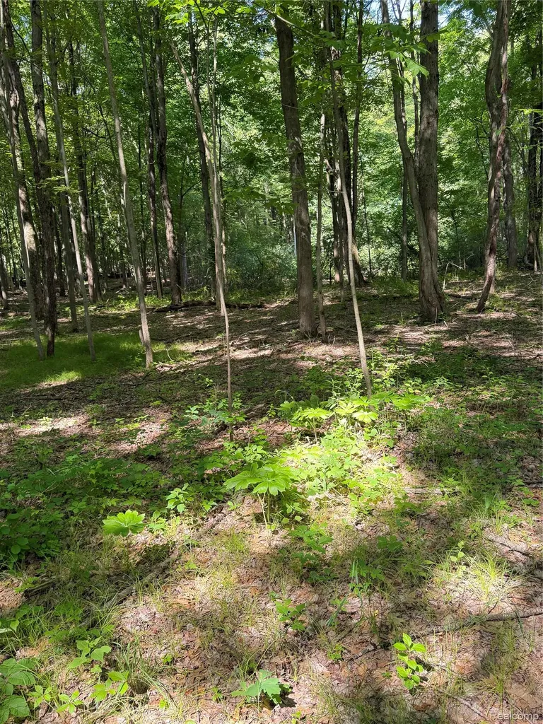 00 Ripple Way White Lake Charter Township MI 48383