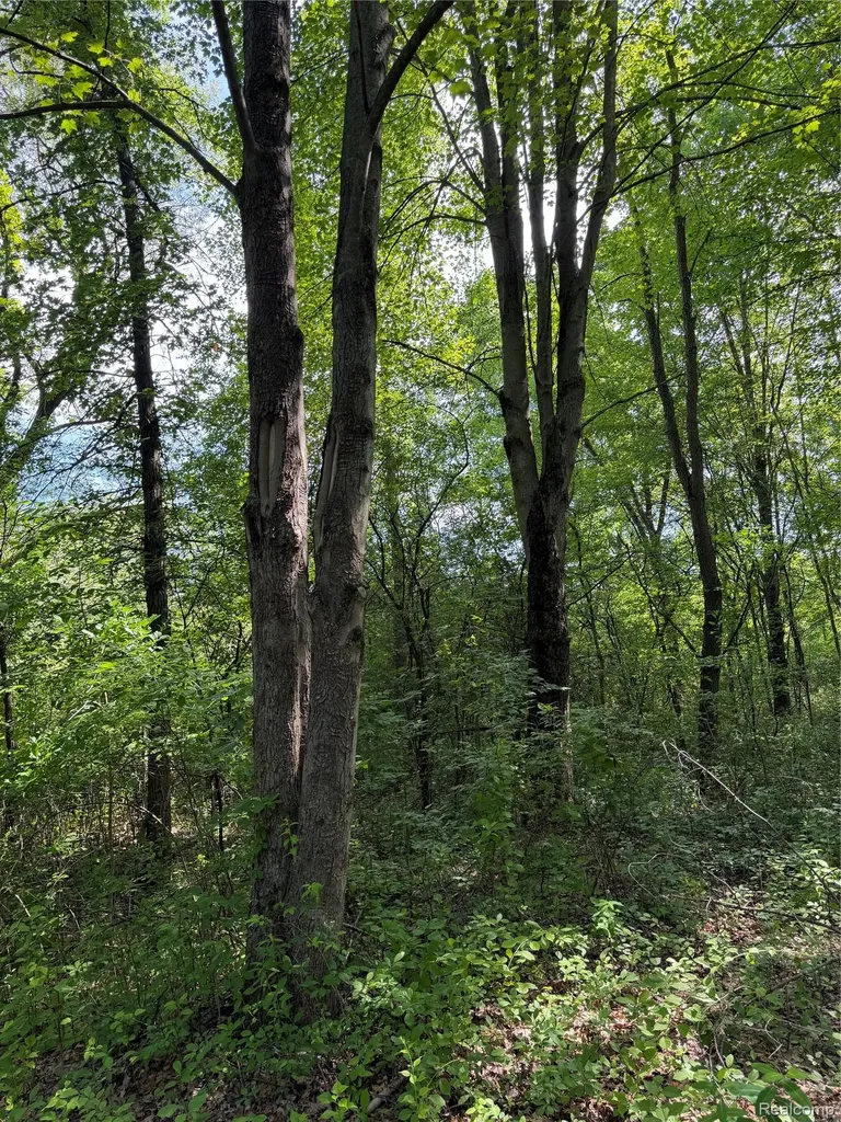 00 Ripple Way White Lake Charter Township MI 48383