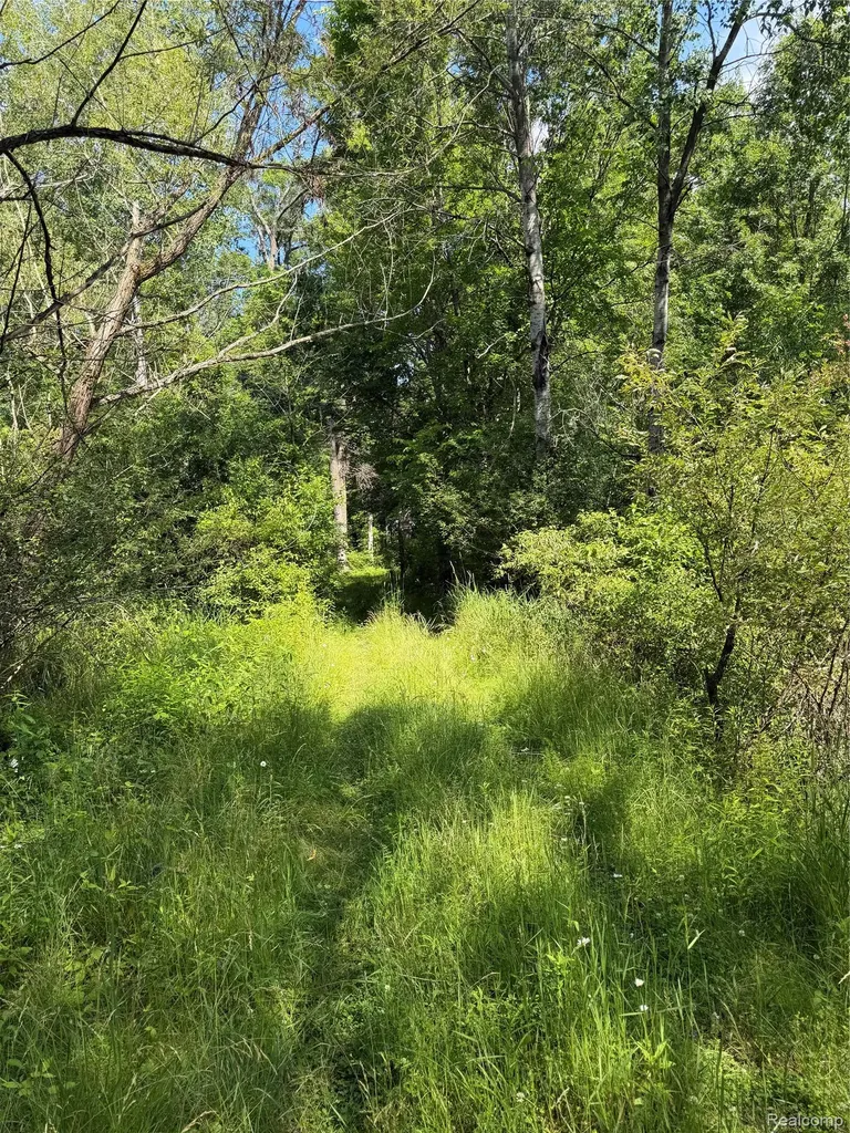 00 Ripple Way White Lake Charter Township MI 48383