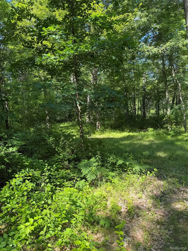 00 Ripple Way White Lake Charter Township MI 48383