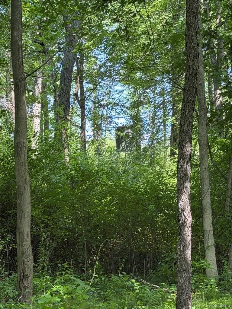 00 Ripple Way White Lake Charter Township MI 48383