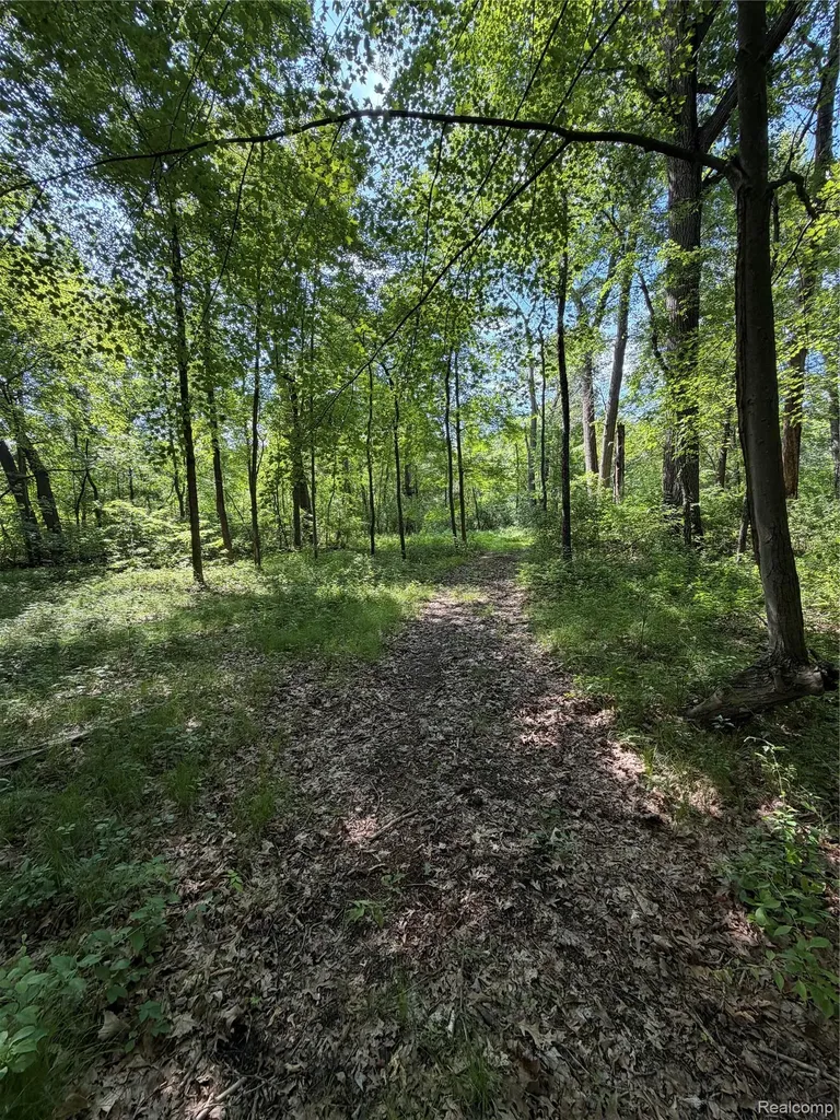 00 Ripple Way White Lake Charter Township MI 48383