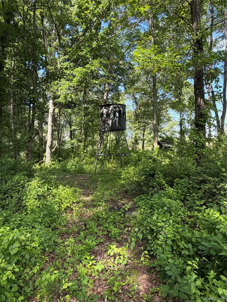 00 Ripple Way White Lake Charter Township MI 48383