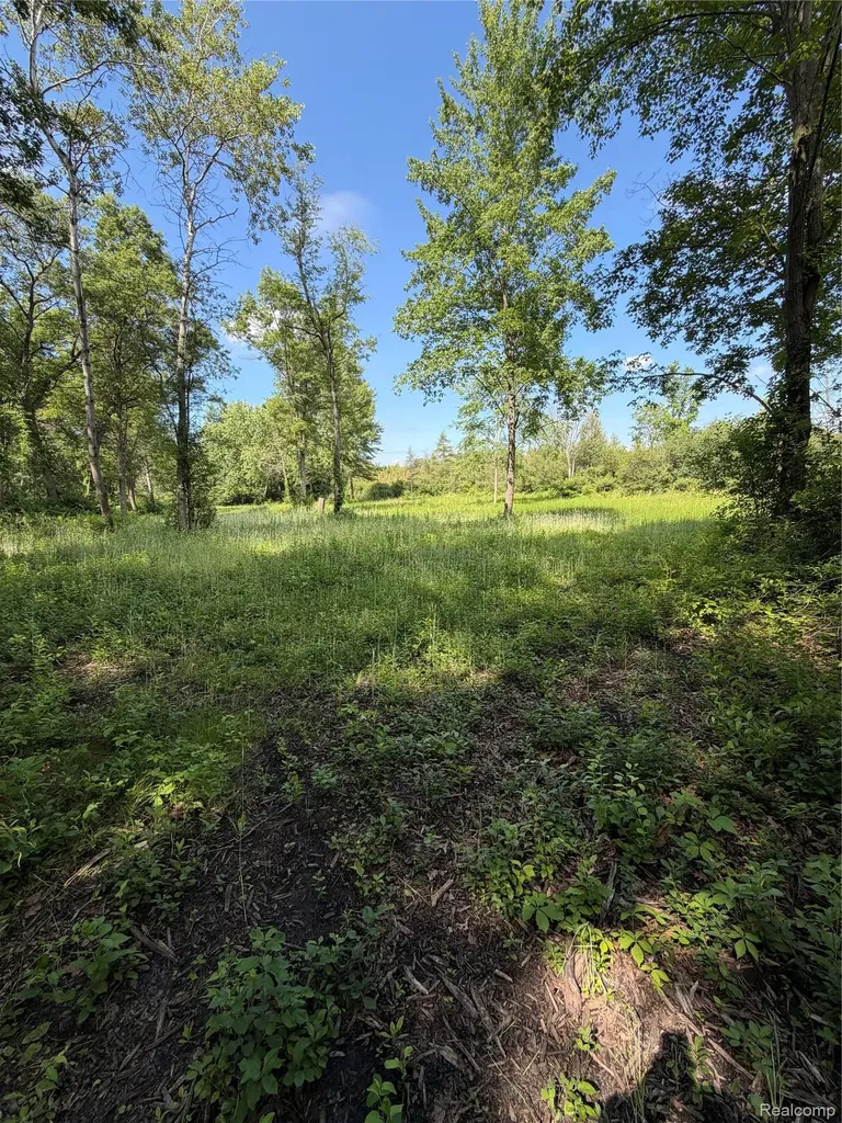 00 Ripple Way White Lake Charter Township MI 48383