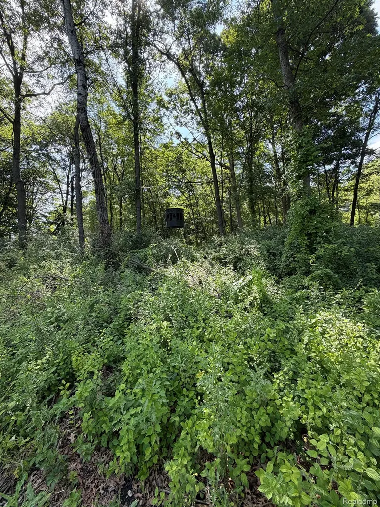 00 Ripple Way White Lake Charter Township MI 48383