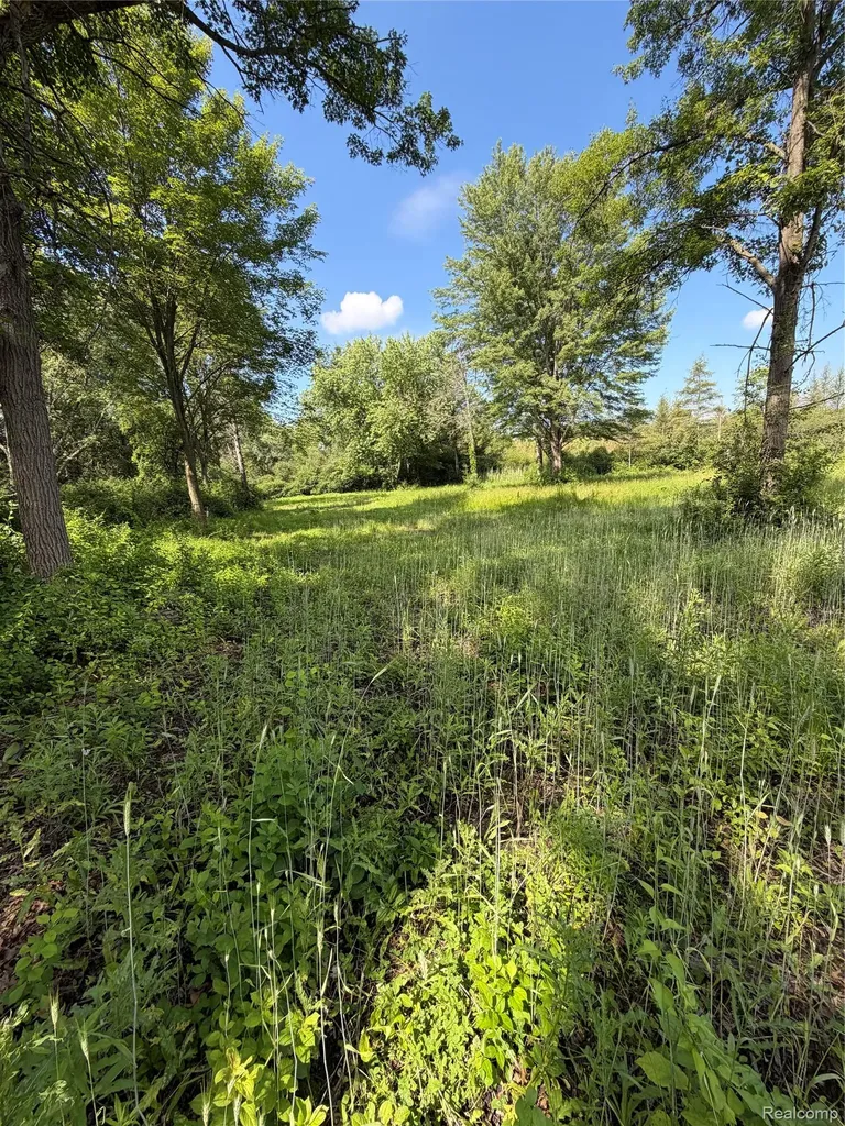 00 Ripple Way White Lake Charter Township MI 48383