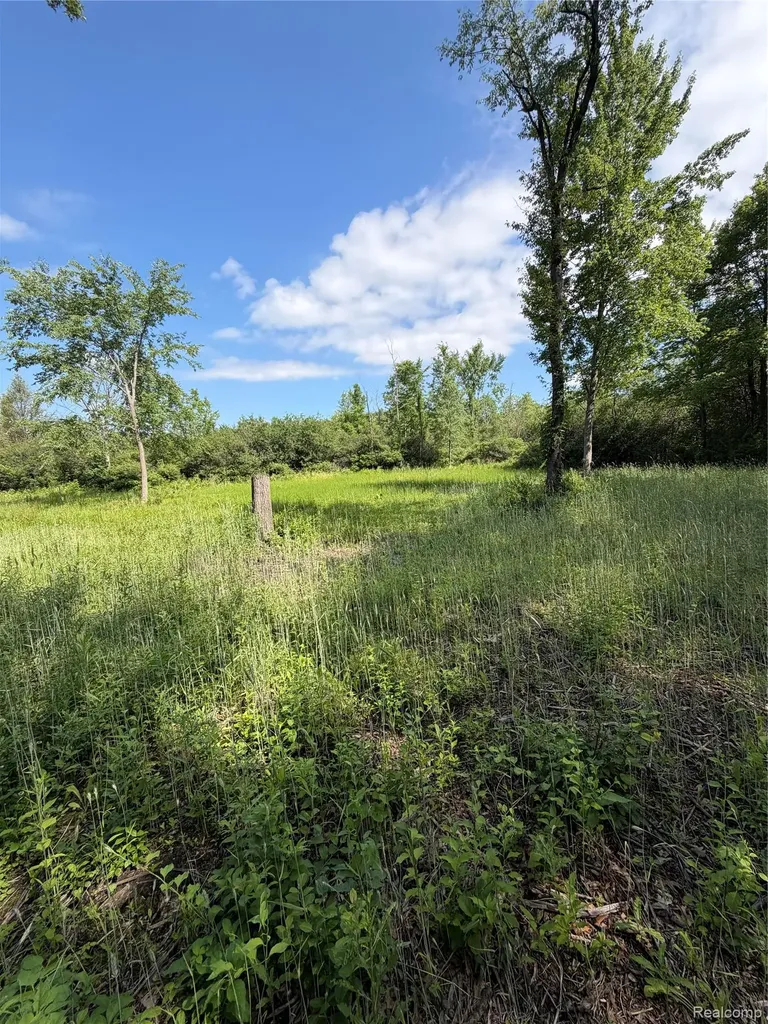 00 Ripple Way White Lake Charter Township MI 48383