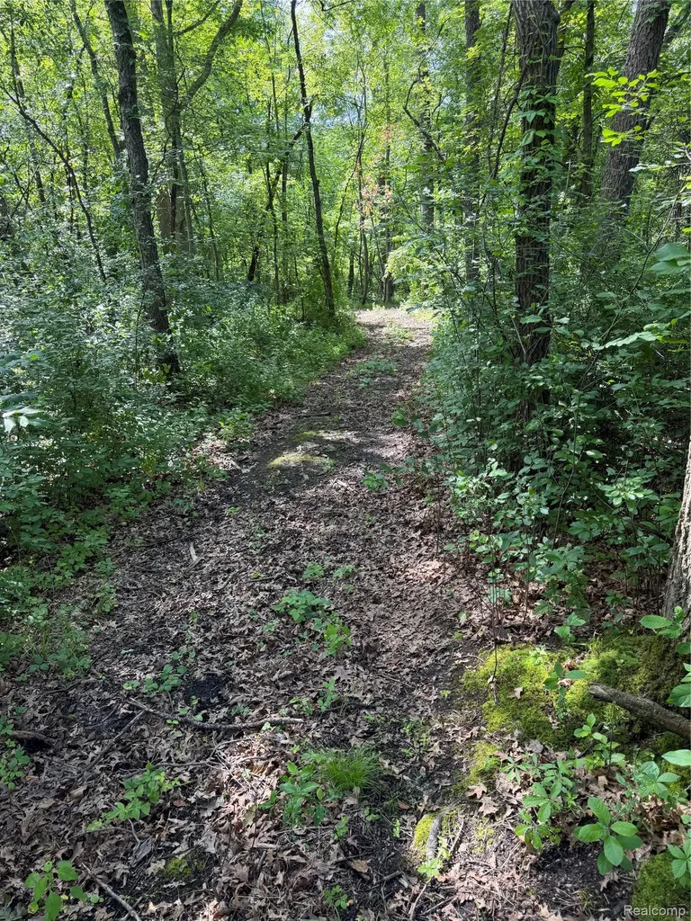 00 Ripple Way White Lake Charter Township MI 48383