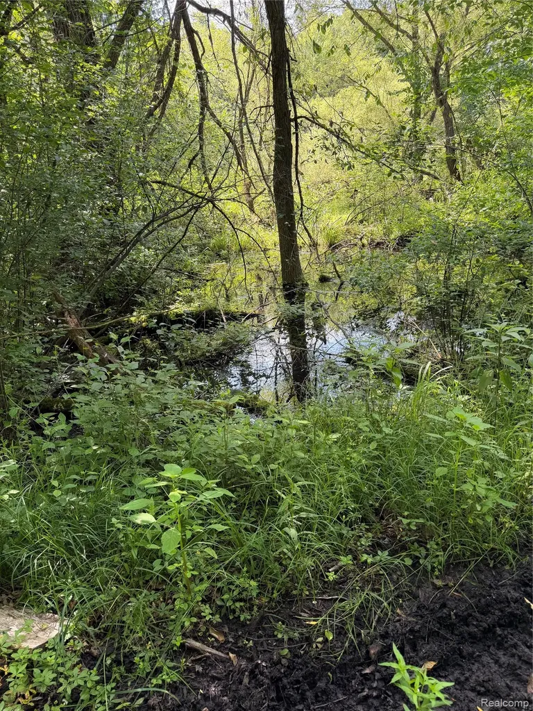 00 Ripple Way White Lake Charter Township MI 48383