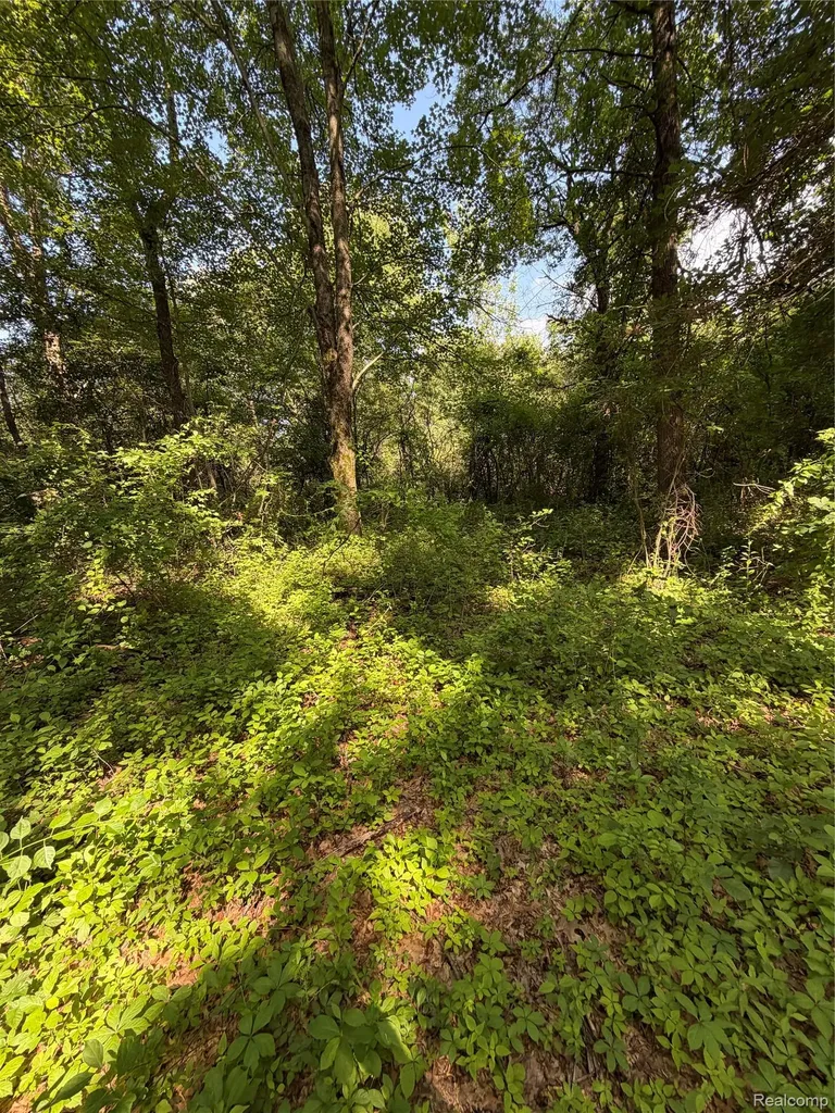 00 Ripple Way White Lake Charter Township MI 48383