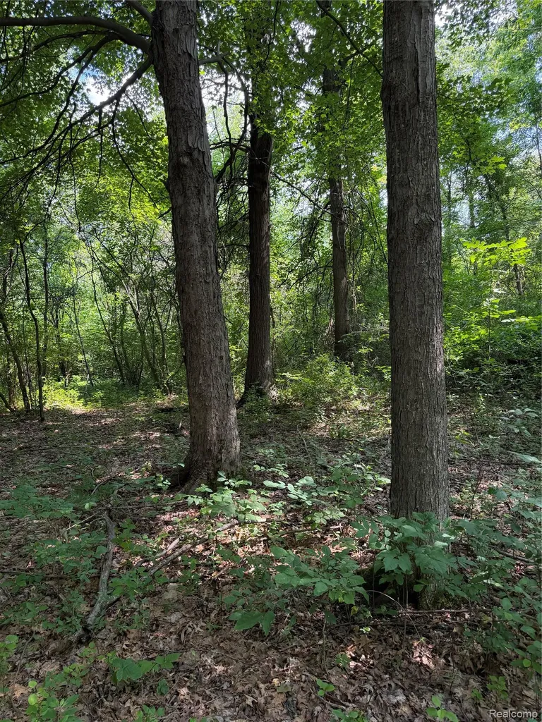 00 Ripple Way White Lake Charter Township MI 48383