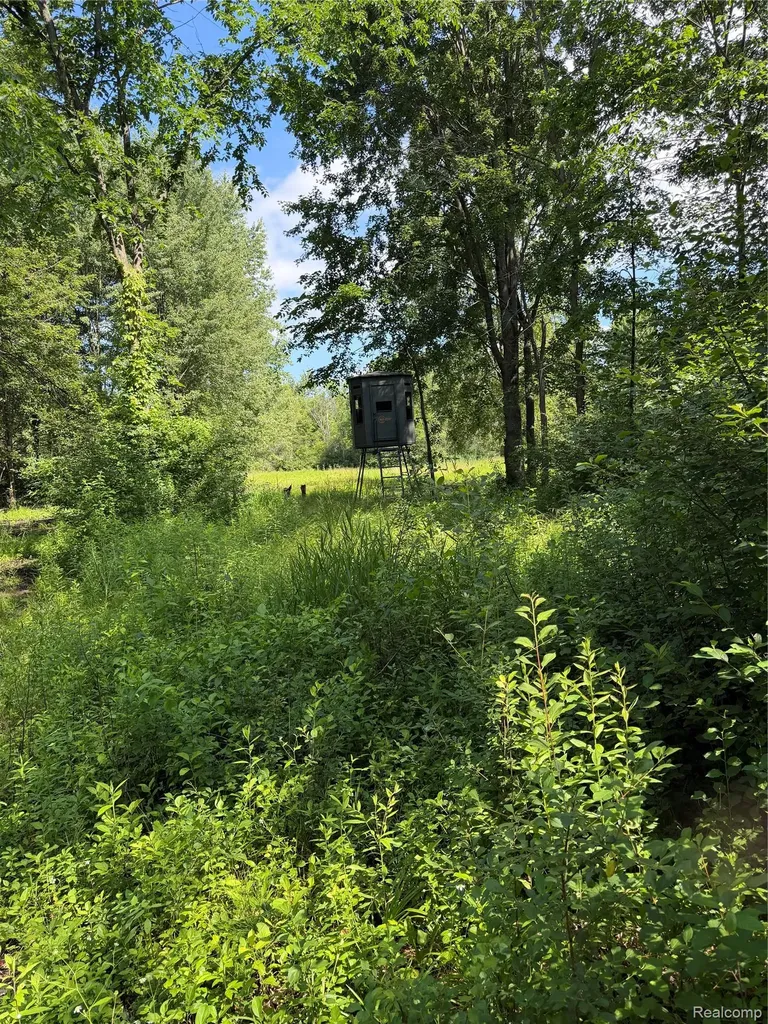 00 Ripple Way White Lake Charter Township MI 48383