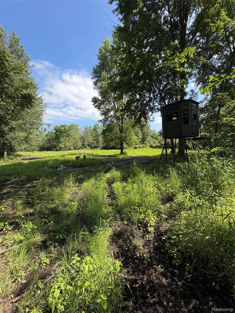 00 Ripple Way White Lake Charter Township MI 48383