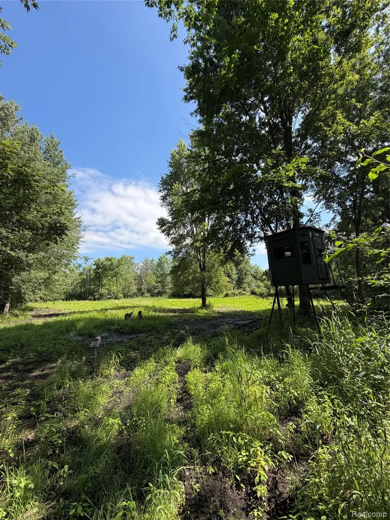 00 Ripple Way White Lake Charter Township MI 48383
