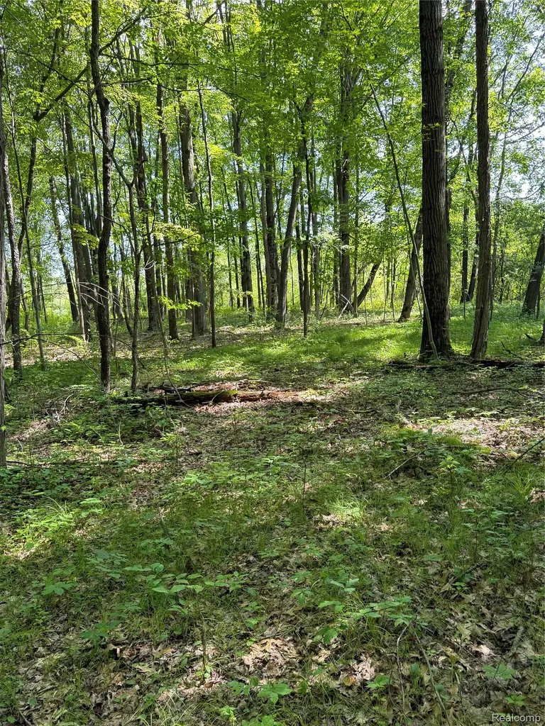 00 Ripple Way White Lake Charter Township MI 48383