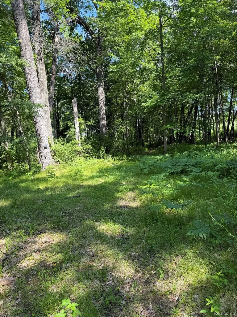 00 Ripple Way White Lake Charter Township MI 48383
