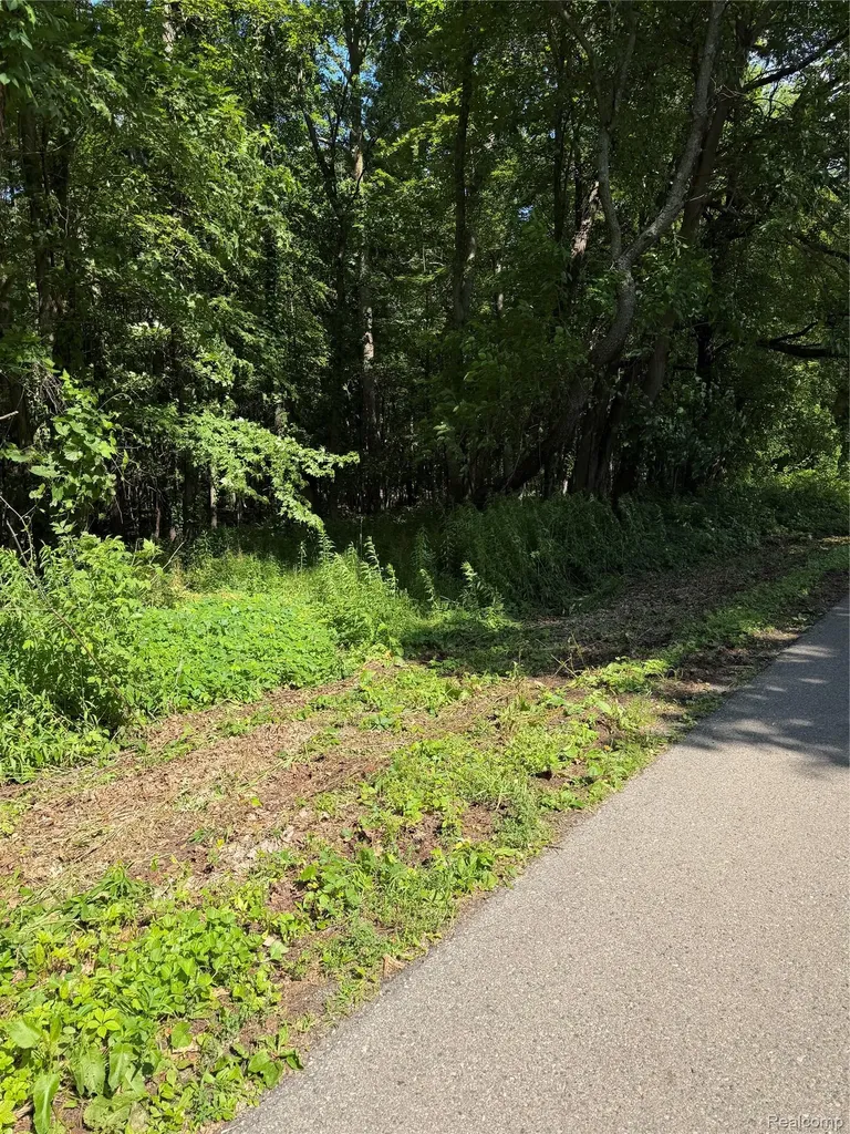 00 Ripple Way White Lake Charter Township MI 48383