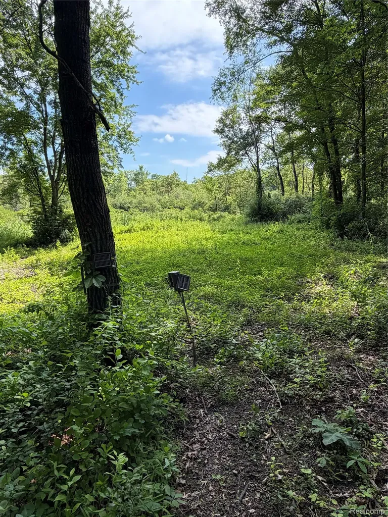 00 Ripple Way White Lake Charter Township MI 48383