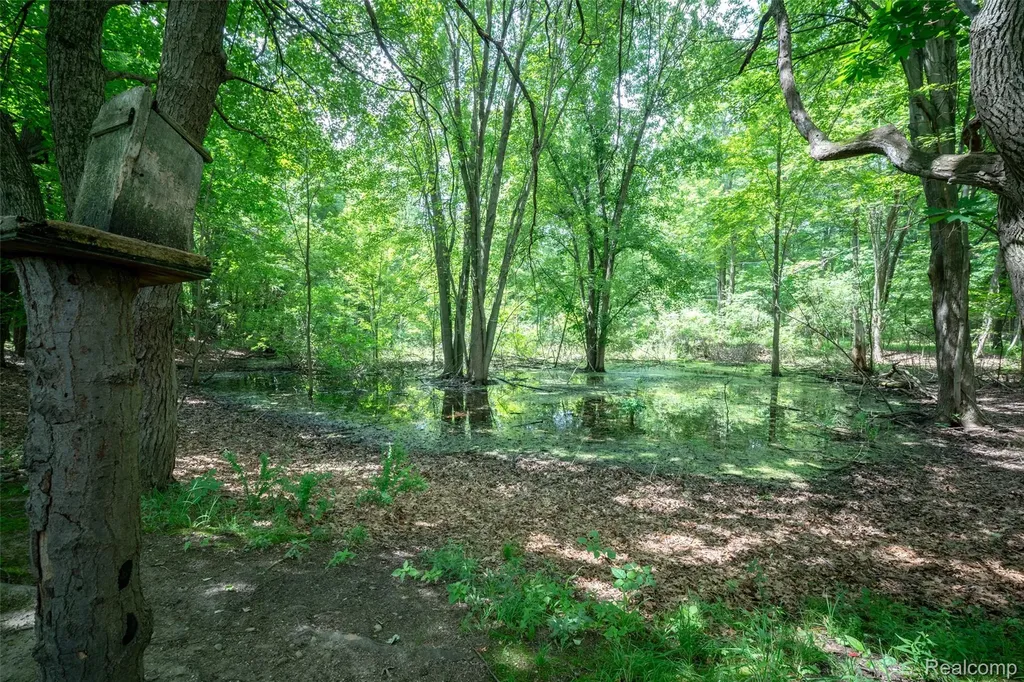 560 Coats Road Orion Charter Township MI 48362