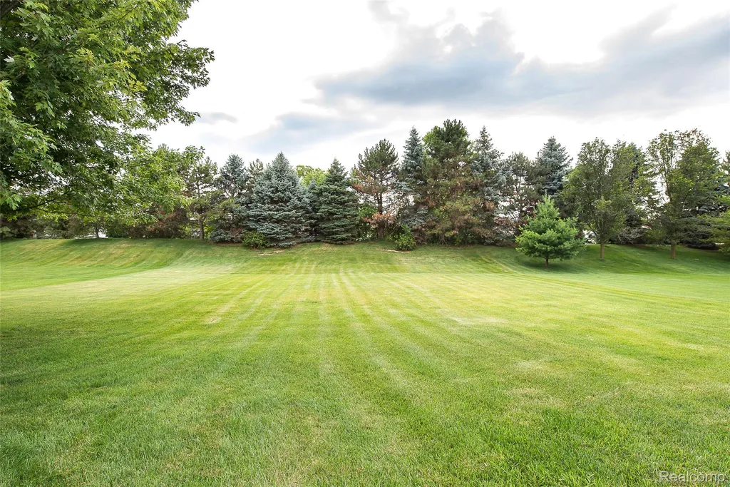 25823 Carriage Lane Lyon Charter Township MI 48178