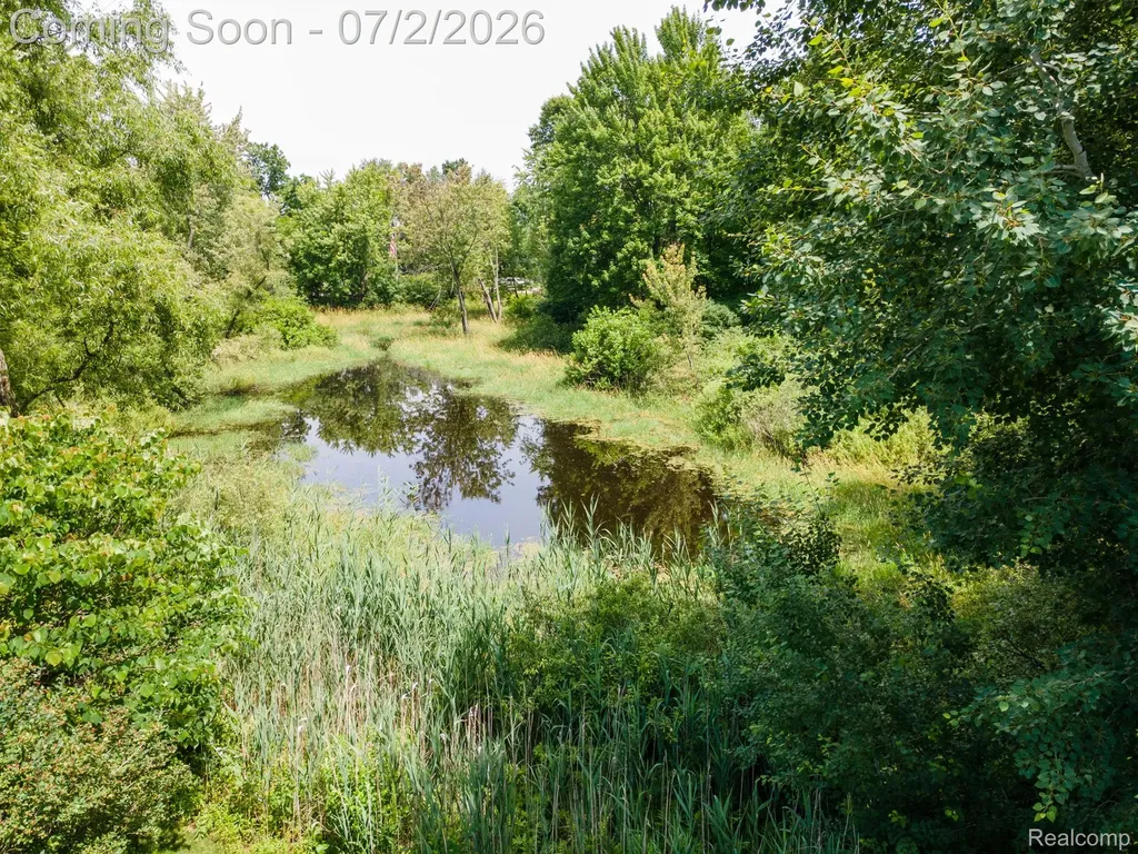 425 Knollwood Drive Brandon Charter Township MI 48462