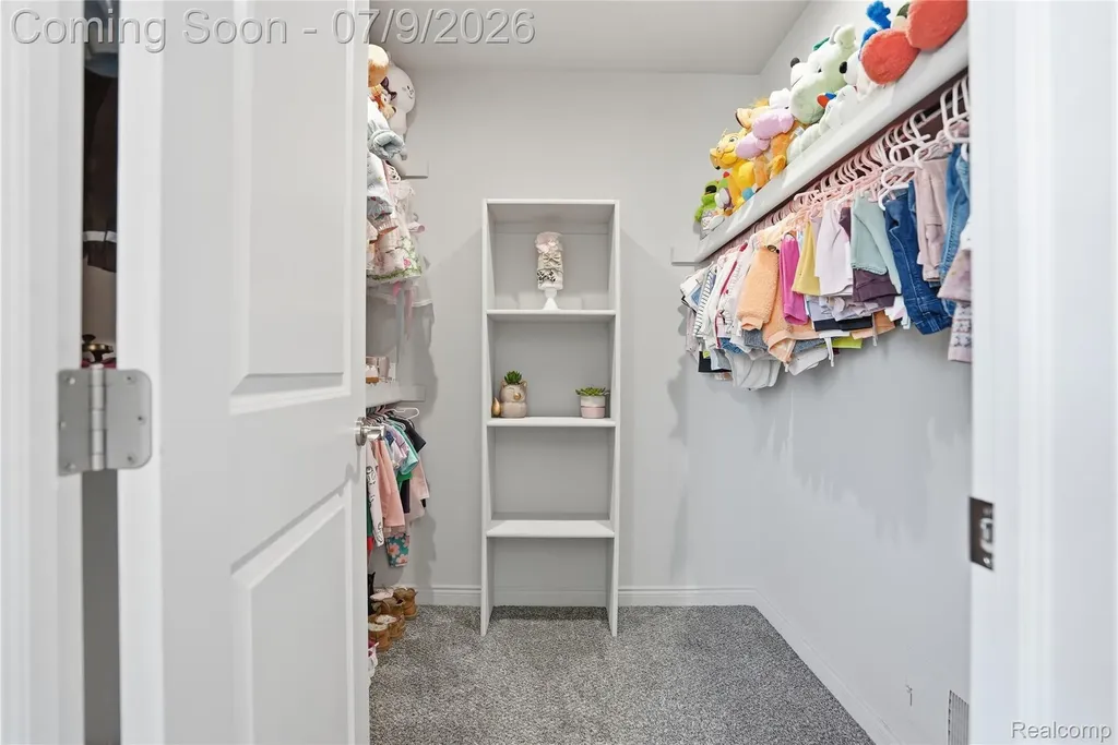 11963 Forest Brook Drive Washington Township MI 48094
