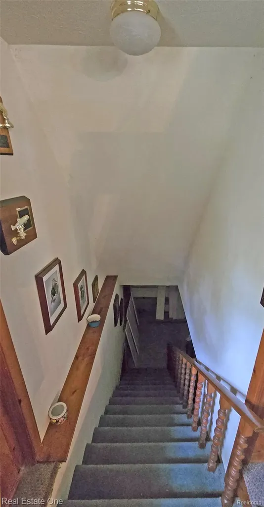 4233 N Pheasant Road Alcona Township MI 48742